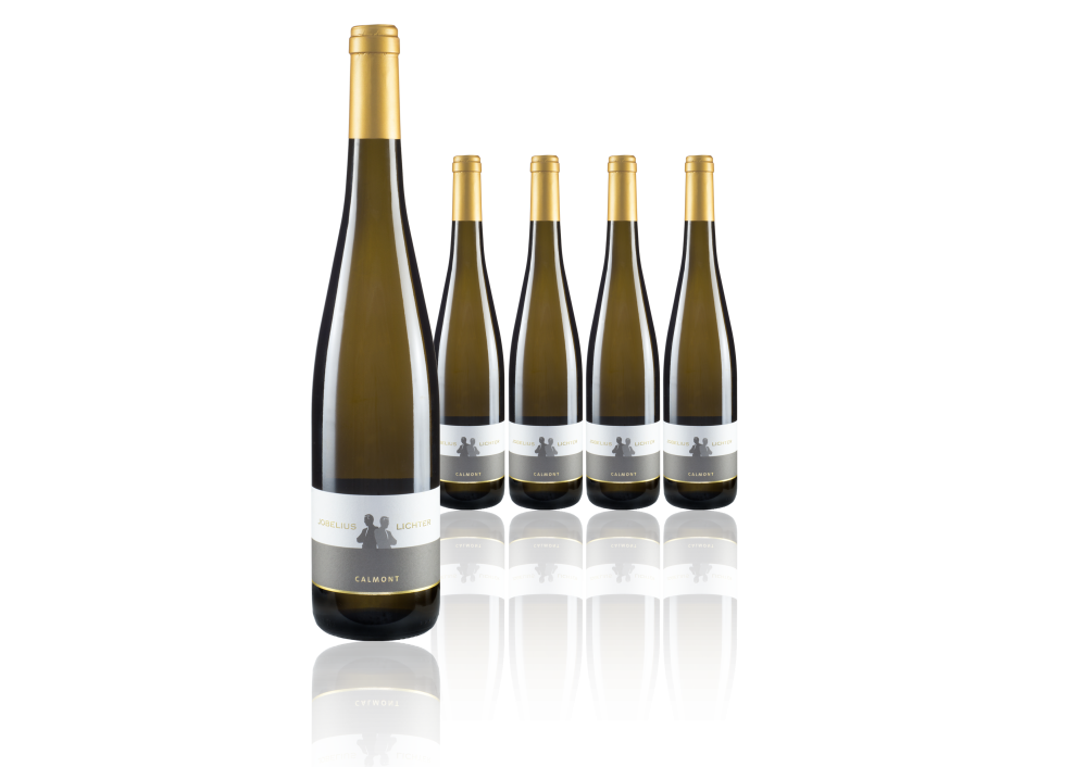 2019er Felsenterrasse Riesling trocken
